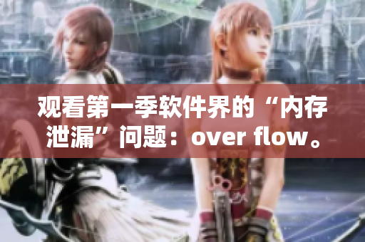 观看第一季软件界的“内存泄漏”问题：over flow。