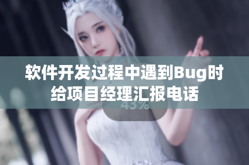 软件开发过程中遇到Bug时给项目经理汇报电话