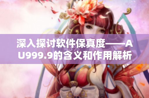 深入探讨软件保真度——AU999.9的含义和作用解析