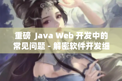 重磅  Java Web 开发中的常见问题 - 解密软件开发细节！