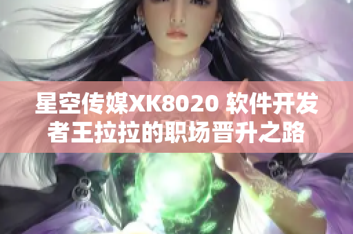 星空传媒XK8020 软件开发者王拉拉的职场晋升之路