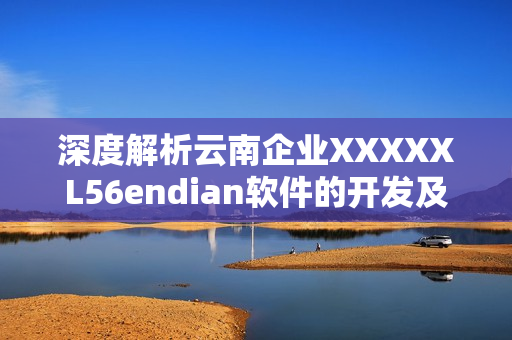 深度解析云南企业XXXXXL56endian软件的开发及应用