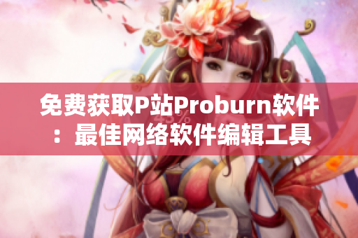 免费获取P站Proburn软件：最佳网络软件编辑工具