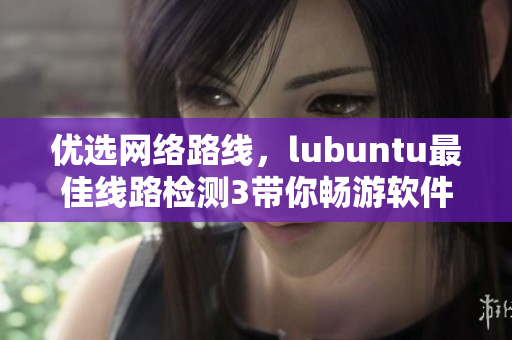 优选网络路线，lubuntu最佳线路检测3带你畅游软件世界