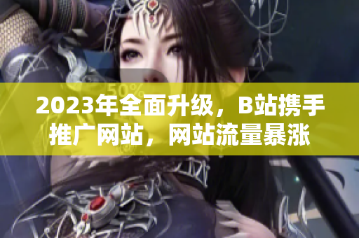 2023年全面升级，B站携手推广网站，网站流量暴涨