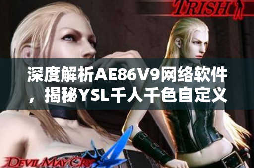 深度解析AE86V9网络软件，揭秘YSL千人千色自定义功能