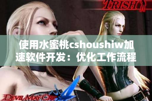 使用水蜜桃cshoushiw加速软件开发：优化工作流程，提高产品质量