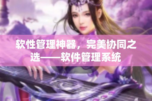 软性管理神器，完美协同之选——软件管理系统