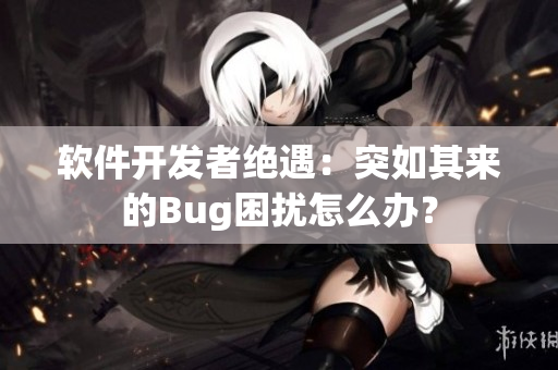 软件开发者绝遇：突如其来的Bug困扰怎么办？