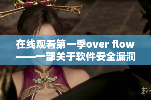 在线观看第一季over flow——一部关于软件安全漏洞的纪录片