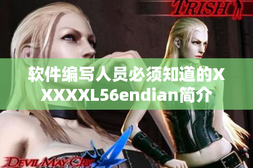 软件编写人员必须知道的XXXXXL56endian简介