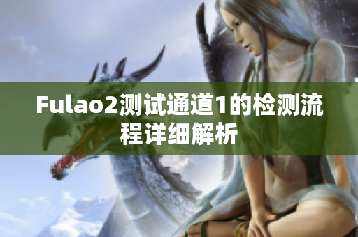 Fulao2测试通道1的检测流程详细解析