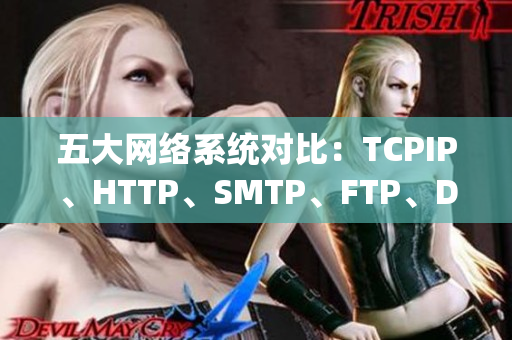 五大网络系统对比：TCPIP、HTTP、SMTP、FTP、DNS详解