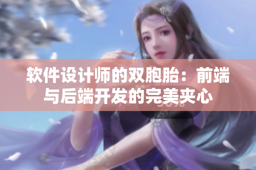 软件设计师的双胞胎：前端与后端开发的完美夹心