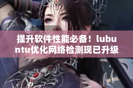 提升软件性能必备！lubuntu优化网络检测现已升级