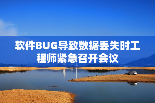 软件BUG导致数据丢失时工程师紧急召开会议