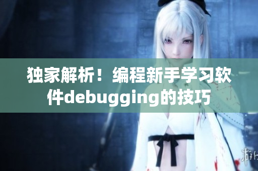 独家解析！编程新手学习软件debugging的技巧