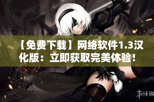 【免费下载】网络软件1.3汉化版：立即获取完美体验！