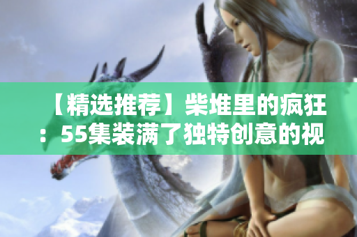 【精选推荐】柴堆里的疯狂：55集装满了独特创意的视频辑录