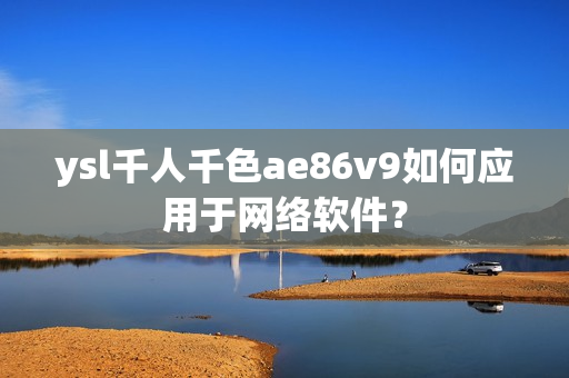 ysl千人千色ae86v9如何应用于网络软件？