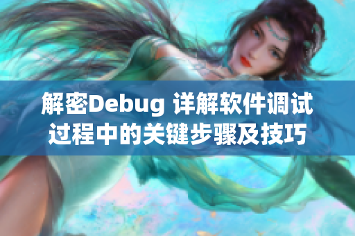 解密Debug 详解软件调试过程中的关键步骤及技巧