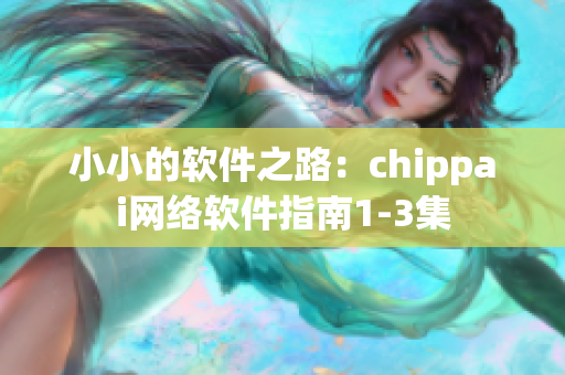 小小的软件之路：chippai网络软件指南1-3集