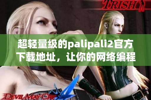 超轻量级的palipali2官方下载地址，让你的网络编程更简便