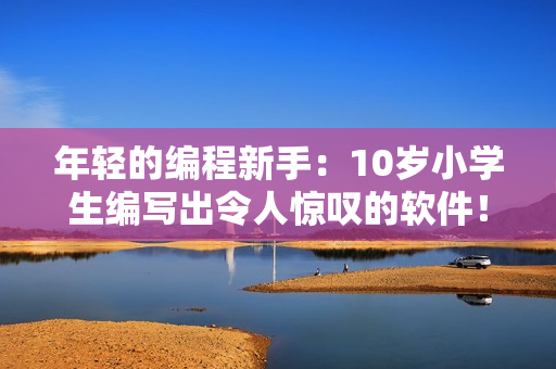 年轻的编程新手：10岁小学生编写出令人惊叹的软件！