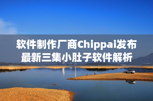 软件制作厂商Chippai发布最新三集小肚子软件解析