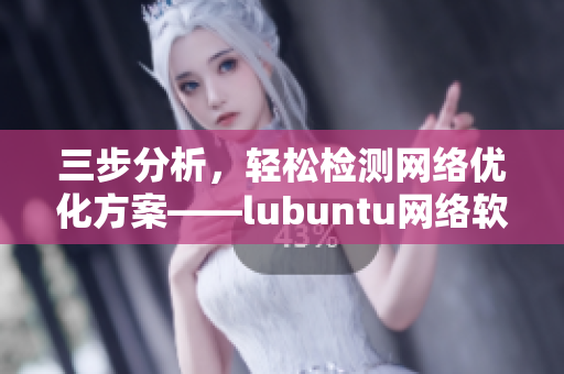 三步分析，轻松检测网络优化方案——lubuntu网络软件最佳线路检测