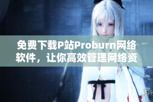 免费下载P站Proburn网络软件，让你高效管理网络资源