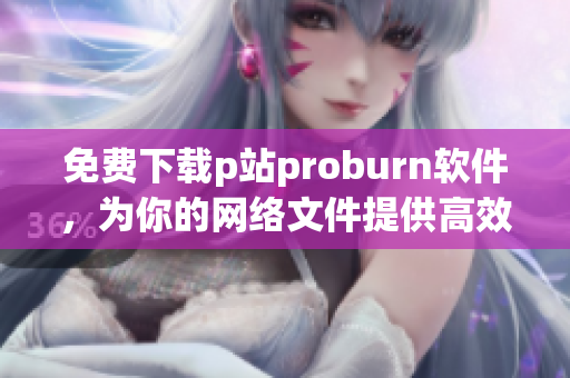 免费下载p站proburn软件，为你的网络文件提供高效烧录！