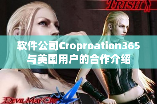 软件公司Croproation365与美国用户的合作介绍