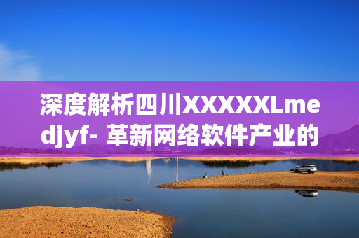 深度解析四川XXXXXLmedjyf- 革新网络软件产业的未来