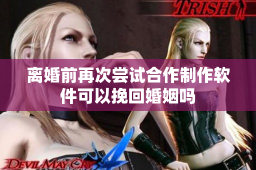 离婚前再次尝试合作制作软件可以挽回婚姻吗