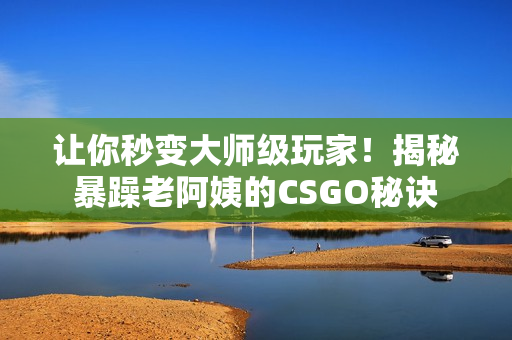 让你秒变大师级玩家！揭秘暴躁老阿姨的CSGO秘诀