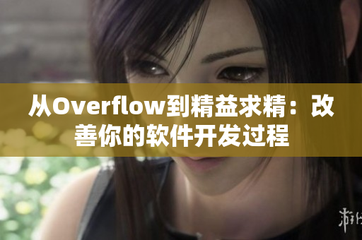 从Overflow到精益求精：改善你的软件开发过程