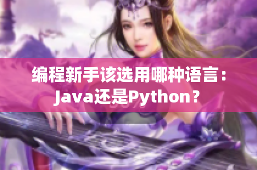 编程新手该选用哪种语言：Java还是Python？