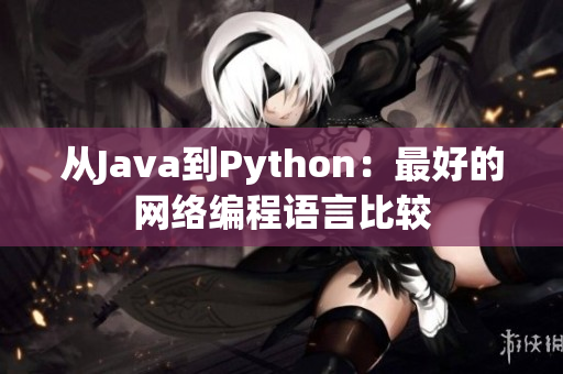 从Java到Python：最好的网络编程语言比较