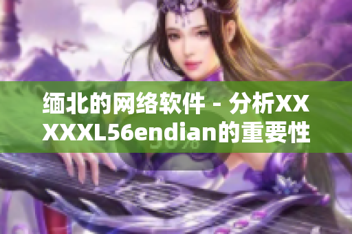 缅北的网络软件 - 分析XXXXXL56endian的重要性