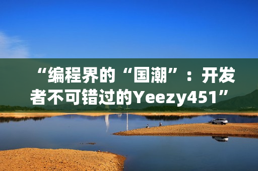 “编程界的“国潮”：开发者不可错过的Yeezy451”