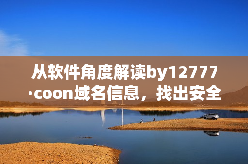 从软件角度解读by12777·coon域名信息，找出安全隐患并提供解决方案