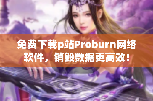 免费下载p站Proburn网络软件，销毁数据更高效！