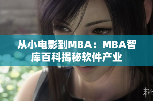 从小电影到MBA：MBA智库百科揭秘软件产业