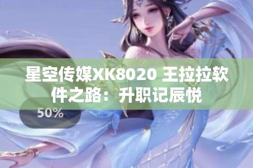 星空传媒XK8020 王拉拉软件之路：升职记辰悦