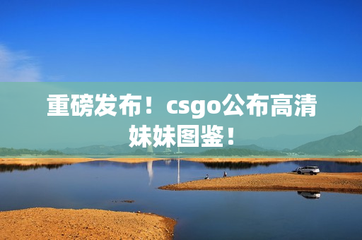 重磅发布！csgo公布高清妹妹图鉴！