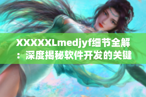 XXXXXLmedjyf细节全解：深度揭秘软件开发的关键细节