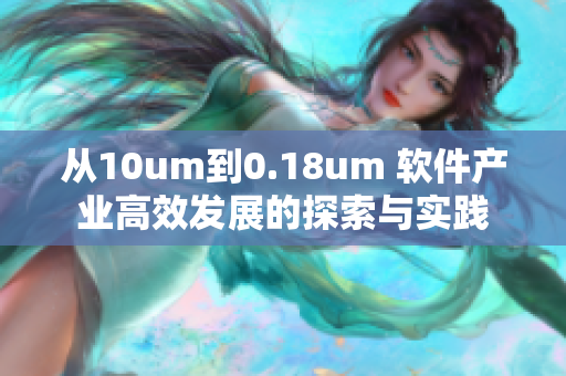 从10um到0.18um 软件产业高效发展的探索与实践