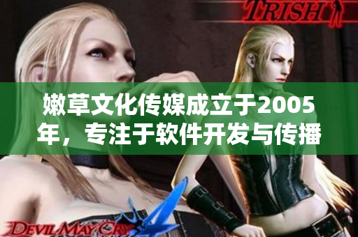 嫩草文化传媒成立于2005年，专注于软件开发与传播