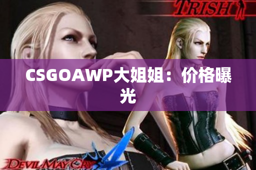 CSGOAWP大姐姐：价格曝光